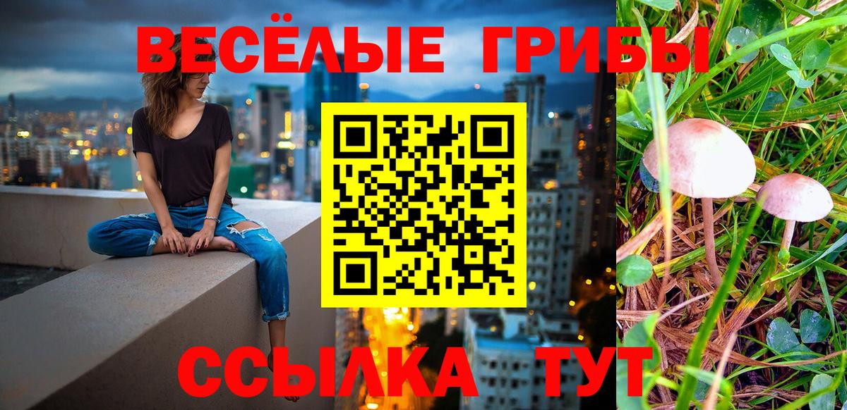 как найти   Псилоцибиновые грибы мицелий  Галлюциногенные грибы Cubensis  Вход с VPN  Серпухов 