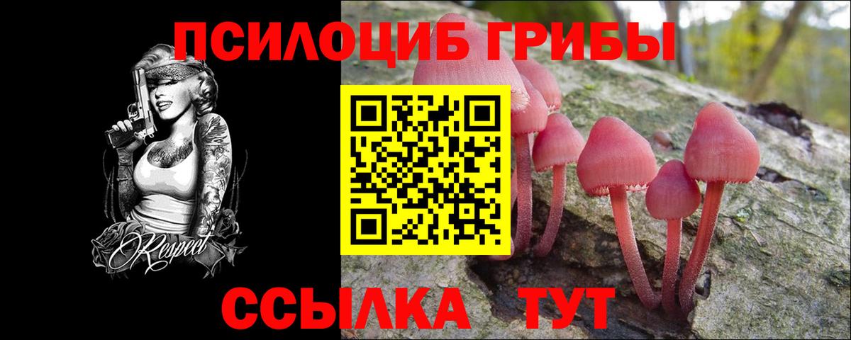 Галлюциногенные грибы прущие грибы Серпухов